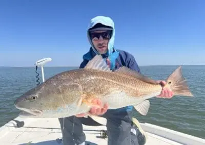 Redfish from hopedale marsh