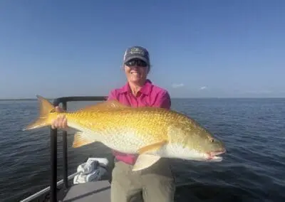 Bull redfish from hopedale marsh