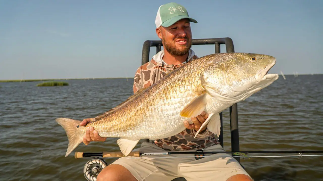 Bull redfish caught in hopedale wby captain jonathan allen