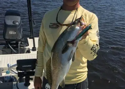 topwater speckled trout in delacroix marsh