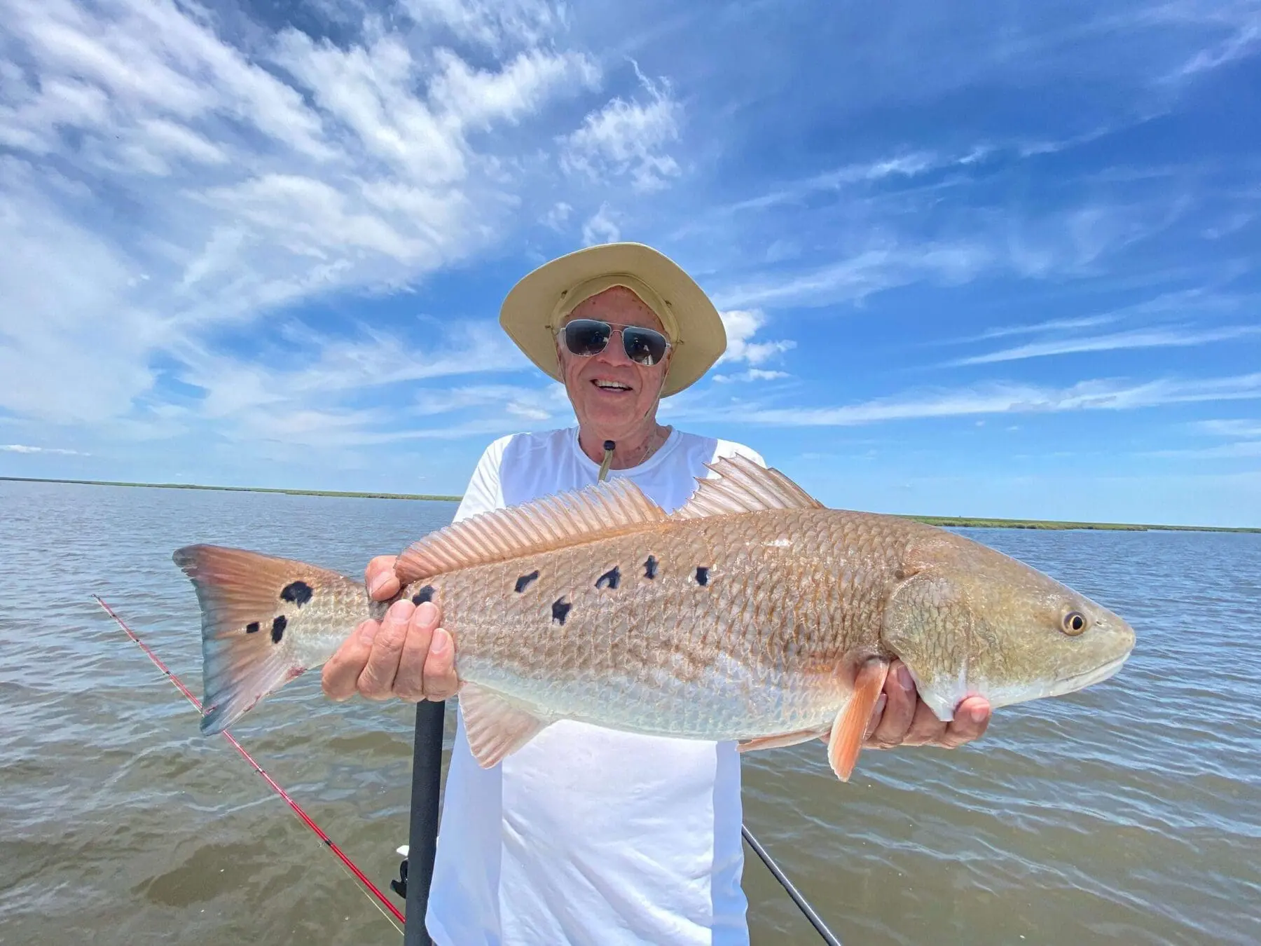 Speckled Trout limits near new orleans