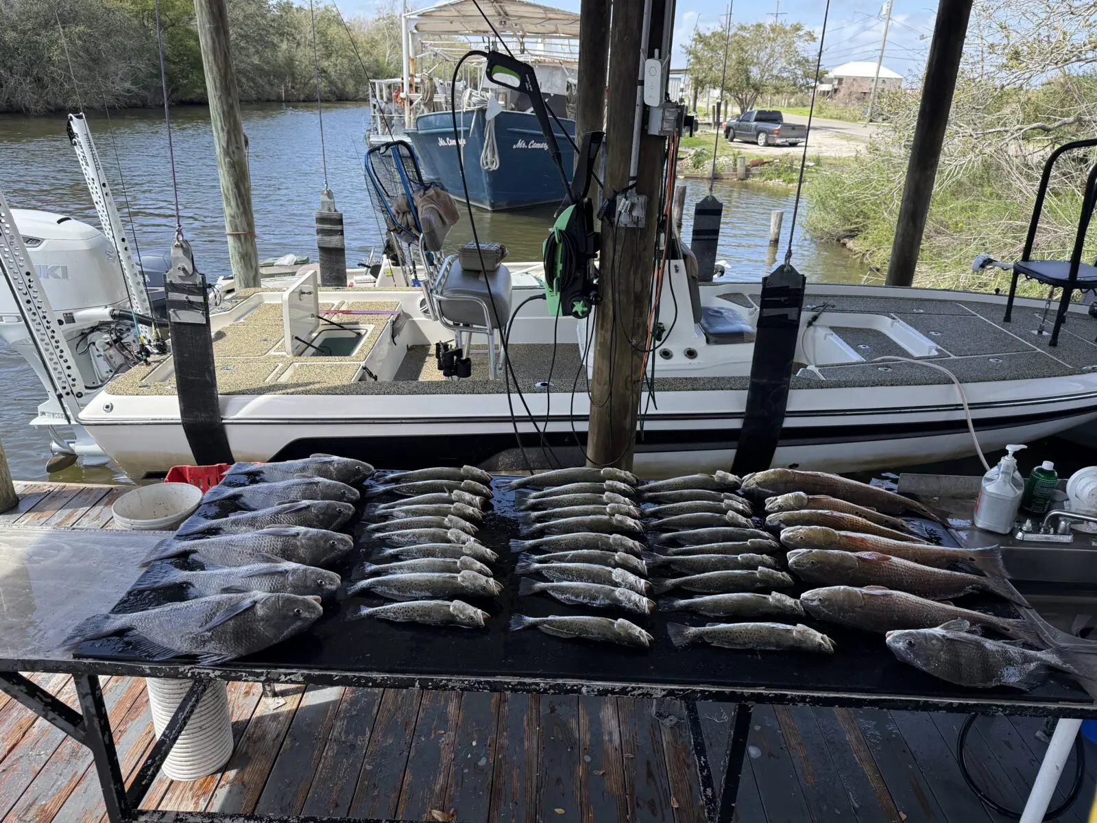 fish cleaning table with limits of trout and redfish