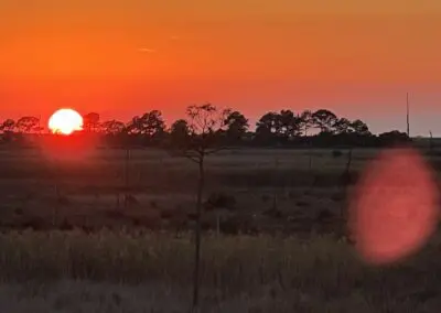 louisiana marsh near hopedale