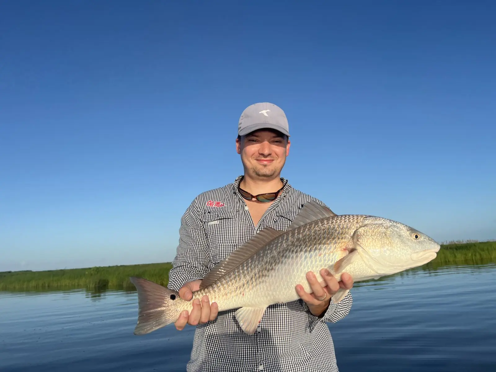 Slot redfish in Hopedale marsh